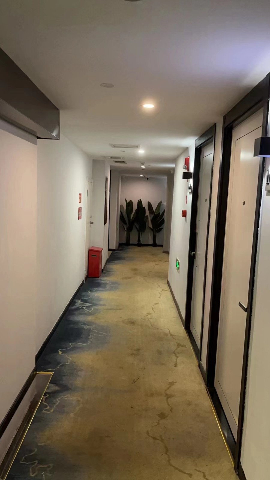 1655706157469519.jpg 1655706157469519.jpg